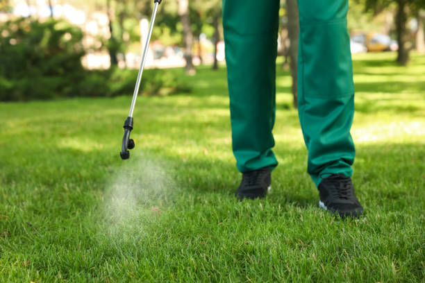 Best Best Pest Control Companies  in Burnt Store Marina, FL